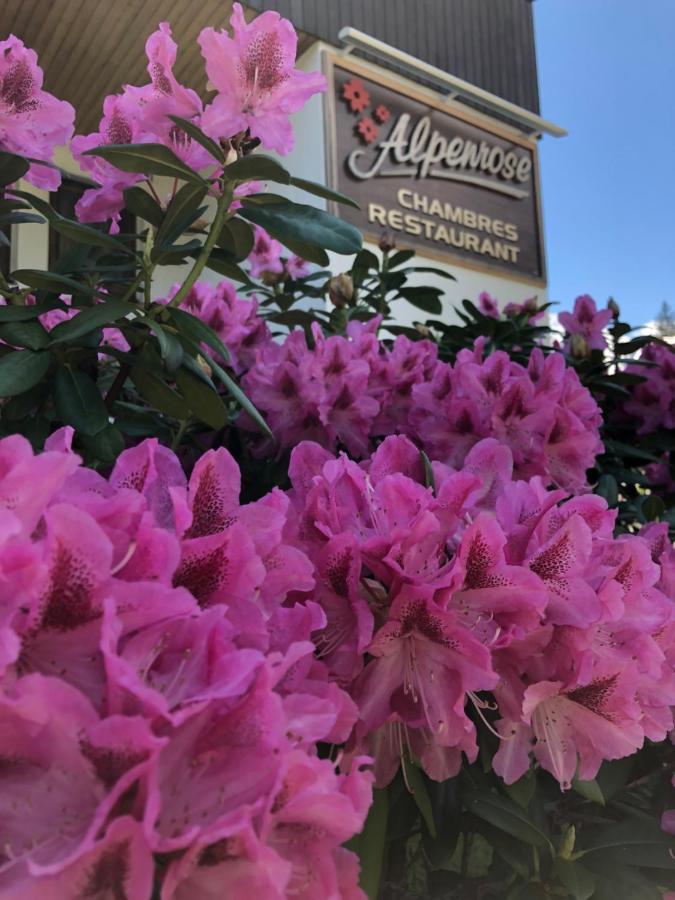 Hostal Alpenrose